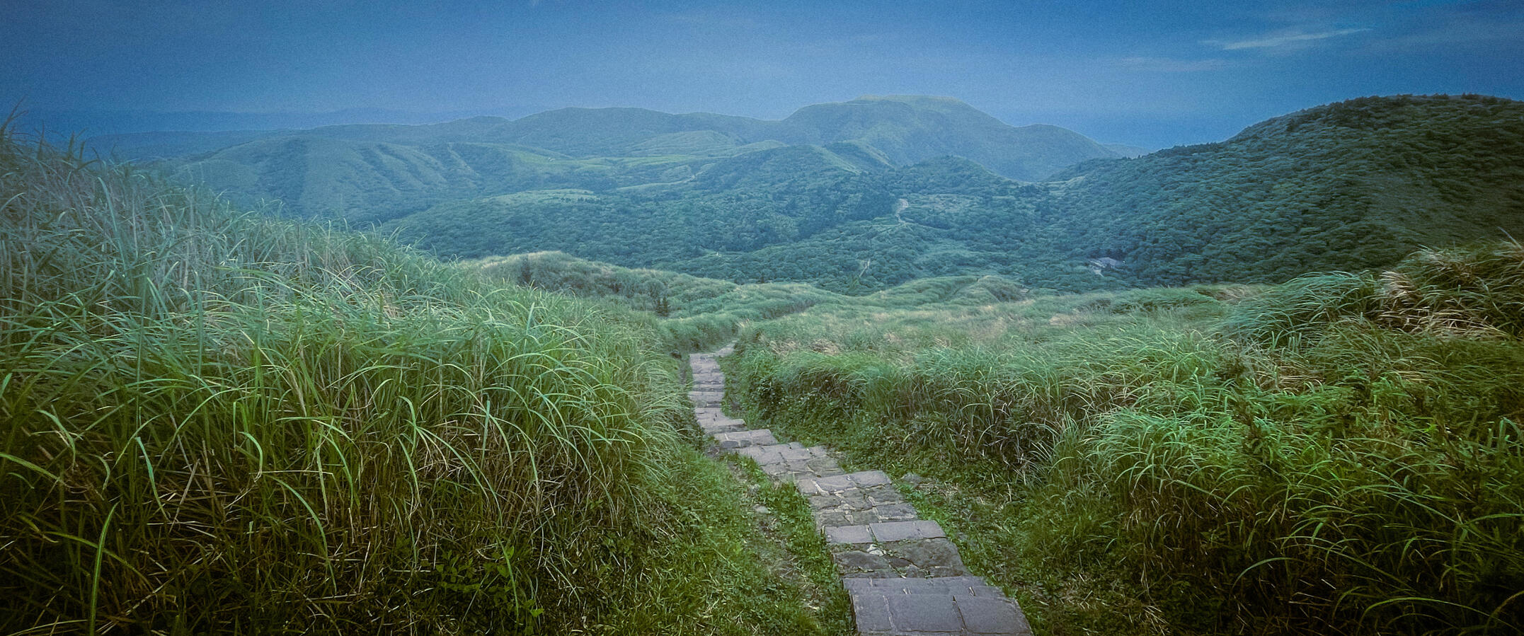 Pathway Pathway